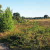 2018-06-29 19.36.54_klein
